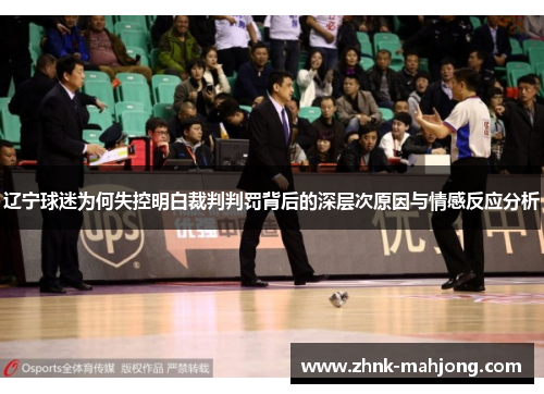 辽宁球迷为何失控明白裁判判罚背后的深层次原因与情感反应分析