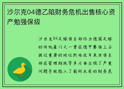 沙尔克04德乙陷财务危机出售核心资产勉强保级